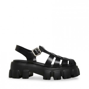 Women Steve Madden Echo Platforms Black | 5621983-NR