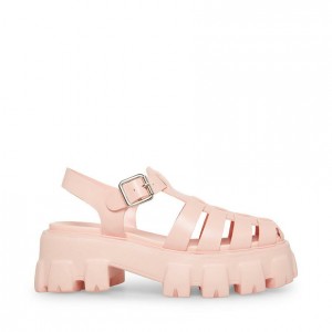 Women Steve Madden Echo Platforms Pink | 2789456-HR