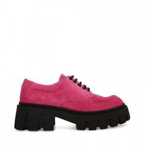 Women Steve Madden Hadley Lug Sole Platforms Pink | 2907416-GU