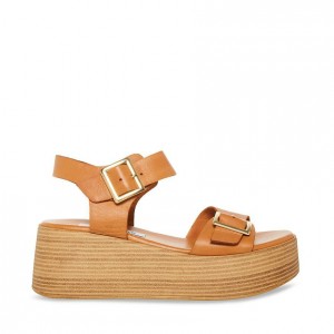 Women Steve Madden Marka Platforms Brown | 8542913-XA