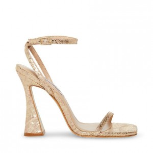 Women Steve Madden Midnight Square Toe Strappy Heels Gold Snake | 8047632-JL