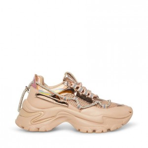 Women Steve Madden Miracles Platforms Pink Multicolor | 0237549-VU