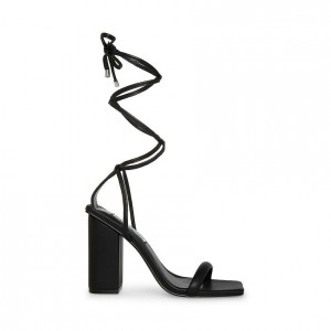 Women Steve Madden Natasha Strappy Heels Black | 3486520-BR