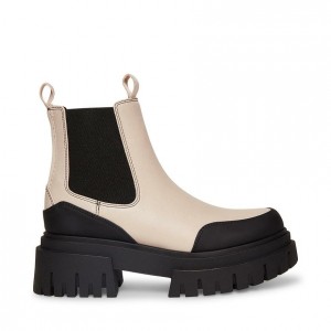 Women Steve Madden Nicki Lug Sole Platforms Grey Brown | 0167238-GX