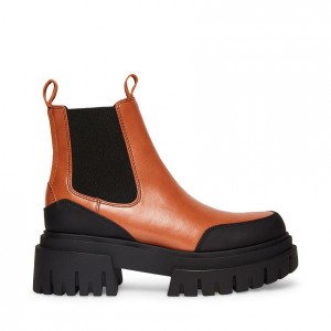 Women Steve Madden Nicki Lug Sole Platforms Brown | 6983572-QY