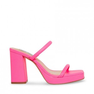 Women Steve Madden Polly Heels Fuchsia | 3649785-NK