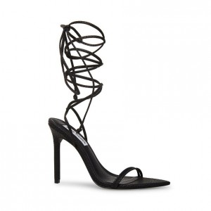 Women Steve Madden Premier Strappy Lace Up Heels Black | 2630147-DX