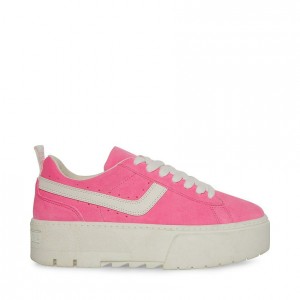 Women Steve Madden Rorri Chunky Platforms Pink | 4589730-XQ