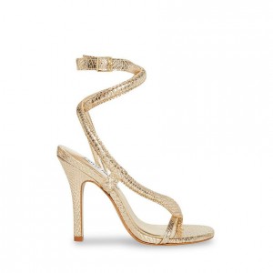 Women Steve Madden Scalia Strappyed Heels Gold Snake | 8419235-OA