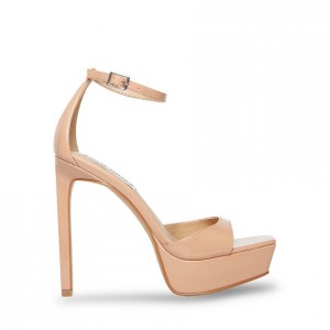 Women Steve Madden Scorch Platforms Pink | 4817053-NU