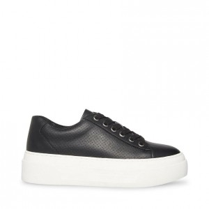 Women Steve Madden Studio Platforms Black | 4751863-MO