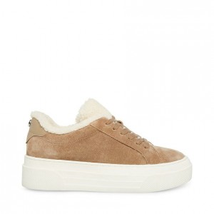 Women Steve Madden Studio-f Platforms Grey Brown | 5410962-GW
