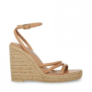 Women Steve Madden Taylor Espadrille Wedge Platforms Brown | 8017462-MT