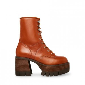 Women Steve Madden Trevor Block Platforms Brown | 0534619-SF