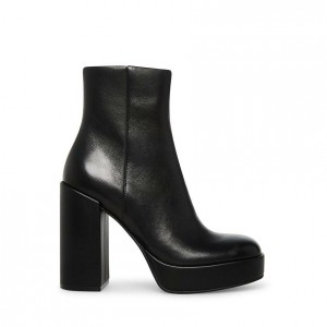 Women Steve Madden Zenia Platforms Black | 0798315-QL